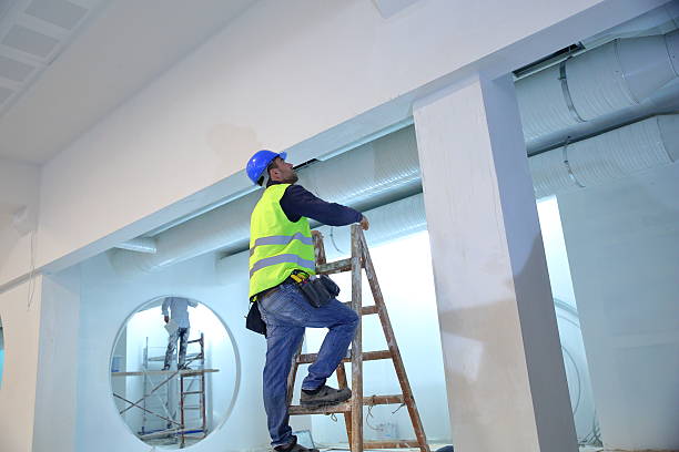 Best Ceiling Drywall Installation  in Vla Park, IL